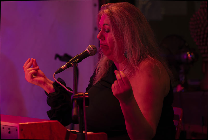 Kaleidoscope Quartet playing live